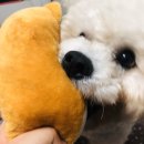 아또 이미지