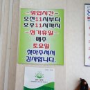 홍어일번지 이미지