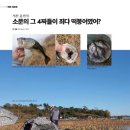 운산지 이미지