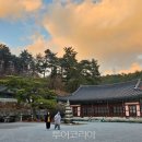 제2일화농장 이미지