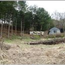 강림면303 이미지