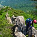 칠곡 송림사 목조석가여래삼존좌상 | (경북칠곡산행)방울암산으로 불리는 칠곡 영암산 산행