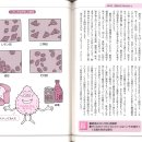 발효의 책 31 효모는 당 농도가 높은 곳을 좋아한다. 이미지