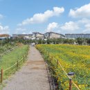 살랑제주 이미지