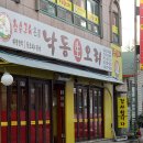 낙동생오리 이미지