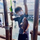 올레바당체험마을 이미지