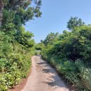 온평리-7 이미지