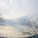 화산참붕어찜 이미지