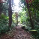 원주굽이길 16코스 매지순환둘레길 이미지