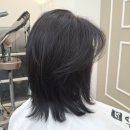 리안헤어(별내로데오점) | 손질 지옥 거지존 탈출기, #리안헤어별내로데오2호점 선녀 실장 중단발 레이어드 셋팅펌