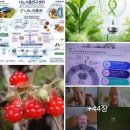 겨울딸기에서 시작된 식물성 PDRN nanofood, 나노바이오의 새로운 미래~ 나노식품 영양전달체 창시자 김동명 이미지
