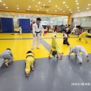 우리 익스트림 태권도장 이미지