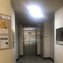 배다리저수지 사거리/시대한우리아파트앞 | 평택임장 / 평택소액투자 / 비전동시대한우리 / 비전동현대아파트 / 용죽지구 임장기