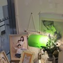 사진일기 - 양주시 옥정동로7길 91 | 내돈내산 의정부 민락동 증명사진 여권사진 잘 찍는 곳 추천 [사진일기] *가본 후기*