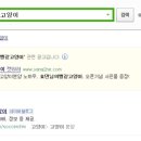 효민님의 뱅갈고양이 이미지