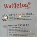와플로아(Waffle loa) 이미지