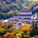 신창길2 이미지