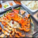 산골연잎장어 이미지