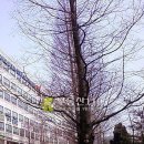 학익소로 이미지