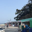 전복총각 | 부산 암남공원 조개구이 '해물나라총각집조개구이' 내돈내산 다녀온 후기