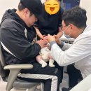 별소아청소년과의원 | 서산 별소아청소년과의원 진료 | 신생아 2개월 예방접종 후기