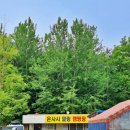 파주 은사시힐링오토캠핑장 후기
