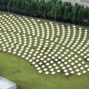 빛을모아 태양광발전소 이미지