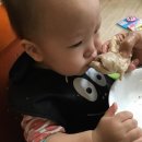 최종화농장 이미지