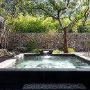 수목다실 이미지