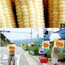 찰옥수수 이미지