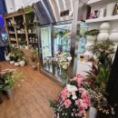 복이 들어오는 달항아리 꽂꽂이 | 딜항아리 센터피스 만들기 수업 생화 꽃꽂이 클래스 후기