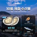 일등수산물 | 10월 제철 수산물 한눈에 정리 | 통영 생굴·홍합·고등어로 건강 챙기기