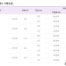 비발디렌통령 네이버블로그