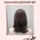 괴정제일교회 화장실 | 괴정미용실 라브리지사하점 유나디자이너 코코아브라운 염색 리얼후기