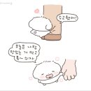 현숙푸드 | 귀여운 블친들은.. 읽지마라.. 미안하다