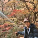 2025 마지막 단풍(금정산 금강공원) 트레킹...? 이미지