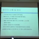 미즈웰산부인과