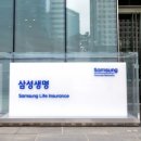 헤이글로벌