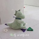 렉시 | 아기 애착인형 추천｜독일 프리미엄 브랜드 슈테른탈러 렉시 사용 후기