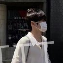 빵빠레 이미지