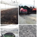 풀무리 | 2020 풀무리농장 토마토 오이 양파 영농계획