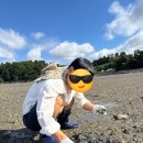 왕산어촌체험휴양마을 이미지