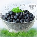 우림슈퍼 이미지