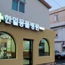 제천종합동물병원 이미지