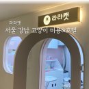 라라캣 | 강남 최초 고양이 전문 미용실 &amp; 호텔링 &#39;라라캣&#39;