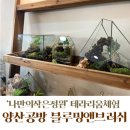 양산꽃집 양산원데이클래스 양산공방 - 블루밍앤브러쉬 테라리움체험 후기