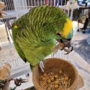 하이 에너지 이미지