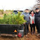 보광농원 이미지