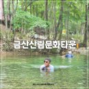 GS25 불광타운점 | 대전 근교 가볼만한곳 여행 드라이브 캠핑장 금산산림문화타운(구. 남이자연휴양림) 제3캠핑장 후기