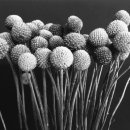 신구광학 이미지